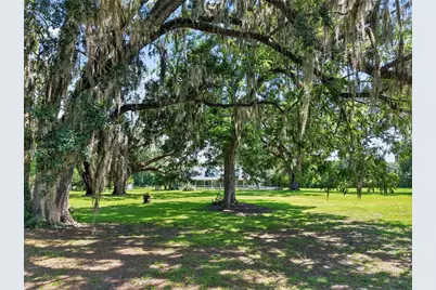 2039 SW State Road 26, Trenton, FL 32693 - Photo 8
