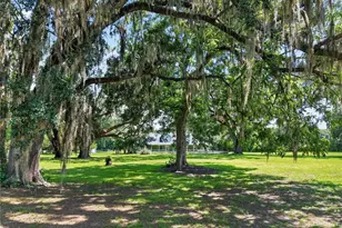 2039 SW State Road 26, Trenton, FL 32693 - Photo 8