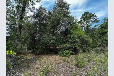 150 SE 144th Avenue, Williston, FL 32696 - Photo 10