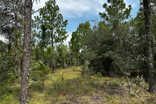 150 SE 144 Ave, Williston, FL 32696 - Photo 1
