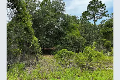 150 SE 144th Avenue, Williston, FL 32696 - Photo 6