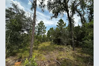 150 SE 144th Avenue, Williston, FL 32696 - Photo 4