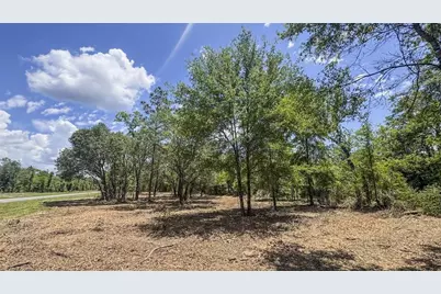 Tbd NE 75 Street, Williston, FL 32696 - Photo 12
