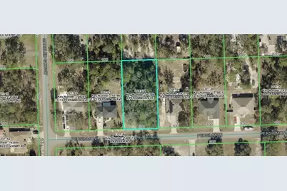 Persimmon Avenue, Weeki Wachee, FL 34614 - Photo 2