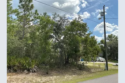 Persimmon Avenue, Weeki Wachee, FL 34614 - Photo 4