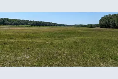 00 NW 60th Avenue, Chiefland, FL 32626 - Photo 2