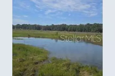 00 NW 60th Avenue, Chiefland, FL 32626 - Photo 6