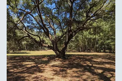 00 NW 60th Avenue, Chiefland, FL 32626 - Photo 4