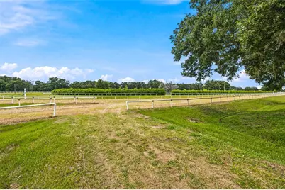 3825 NW 160th Street, Reddick, FL 32686 - Photo 30