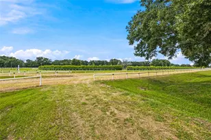 3825 NW 160th St, Reddick, FL 32686 - Photo 30