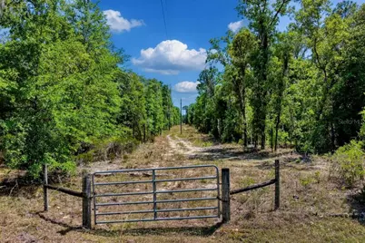 Tbd NE 75th Street, Williston, FL 32696 - Photo 2