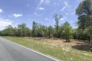 Tbd NE 75th St, Williston, FL 32696 - Photo 1