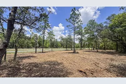 Tbd NE 75th Street, Williston, FL 32696 - Photo 14