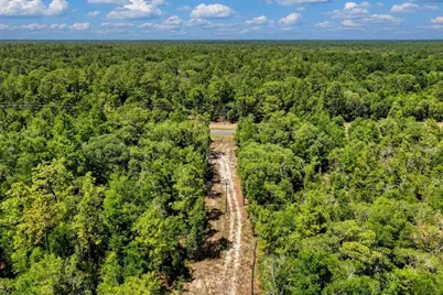 Tbd NE 75th Street, Williston, FL 32696 - Photo 6