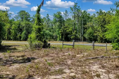 Tbd NE 75th Street, Williston, FL 32696 - Photo 8