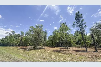 Tbd NE 75th Street, Williston, FL 32696 - Photo 22