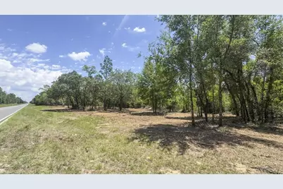 Tbd NE 75th Street, Williston, FL 32696 - Photo 18