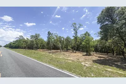 Tbd NE 75th Street, Williston, FL 32696 - Photo 20