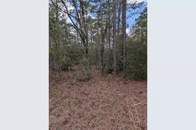 0 SW 90th Street, Dunnellon, FL 34432 - Photo 1