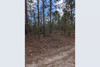 0 SW 90th Street, Dunnellon, FL 34432 - Photo 2