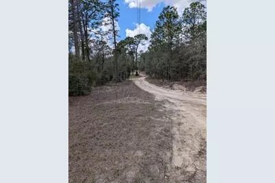 0 SW 90th Street, Dunnellon, FL 34432 - Photo 6