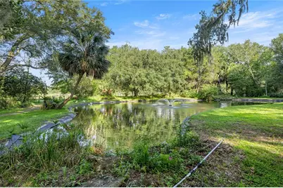 16250 SW 20th Avenue Road, Ocala, FL 34473 - Photo 48