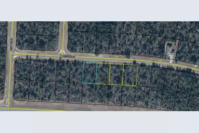 Lot 7, Unit 7, Blk 458 Trenton Street, Chipley, FL 32428 - Photo 4