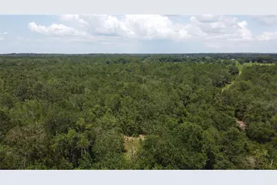 138th Street, Live Oak, FL 32060 - Photo 6