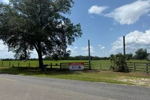 138th St, Live Oak, FL 32060 - Photo 1