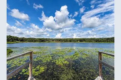 16758 SE 181st Terrace, Weirsdale, FL 32195 - Photo 4