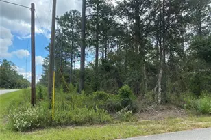 00 SW Buena Vista Rd, Dunnellon, FL 34431 - Photo 1