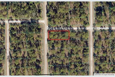 00 SW Buena Vista Road, Dunnellon, FL 34431 - Photo 2