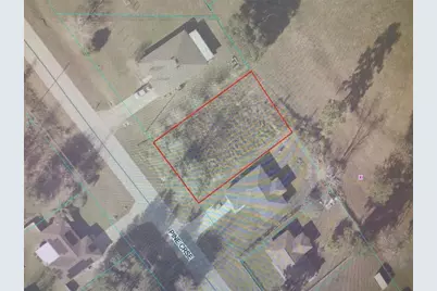 0 Pine Course, Ocala, FL 34472 - Photo 2
