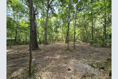 2381 N Junglecamp Road, Inverness, FL 34453 - Photo 8