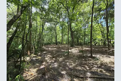 2381 N Junglecamp Road, Inverness, FL 34453 - Photo 14