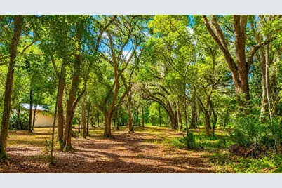 11Ac NE Hwy 315, Fort Mc Coy, FL 32134 - Photo 4