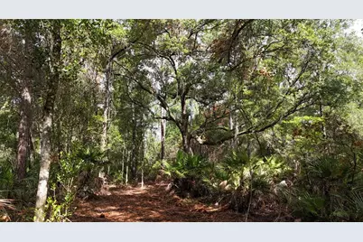 11Ac NE Hwy 315, Fort Mc Coy, FL 32134 - Photo 12