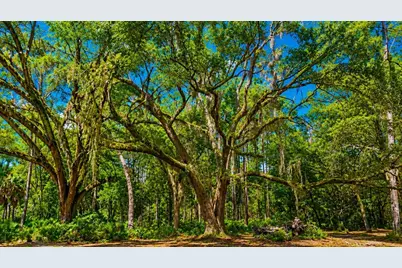 11Ac NE Hwy 315, Fort Mc Coy, FL 32134 - Photo 6