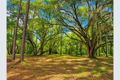 11Ac NE Hwy 315, Fort Mc Coy, FL 32134 - Photo 2