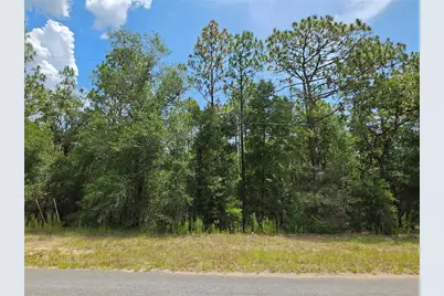 8425 N Foresome Way, Dunnellon, FL 34434 - Photo 2