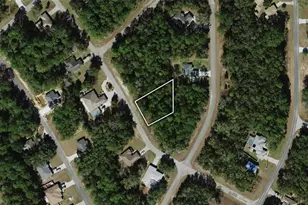 8425 N Foresome Way, Dunnellon, FL 34434 - Photo 1