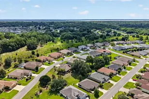 9785 SE 125th Ln, Summerfield, FL 34491 - Photo 46