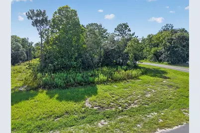0000 SW 155th Street Road, Ocala, FL 34473 - Photo 6
