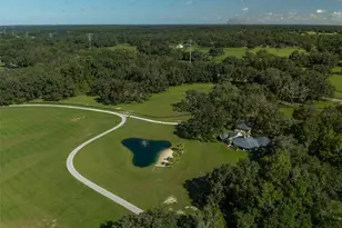 8351 NW 110th St, Reddick, FL 32686 - Photo 2