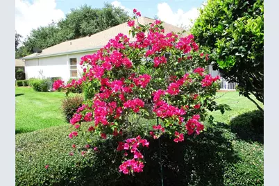 11588 SW 139th Place, Dunnellon, FL 34432 - Photo 48