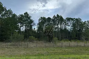 0000 SE 60th Ave, Morriston, FL 32668 - Photo 1