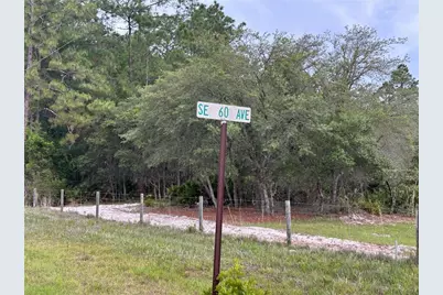 0000 SE 60th Avenue, Morriston, FL 32668 - Photo 2