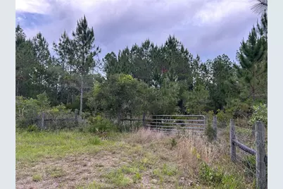 0000 SE 60th Avenue, Morriston, FL 32668 - Photo 6