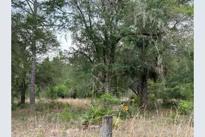 0000 SE 60th Avenue, Morriston, FL 32668 - Photo 10