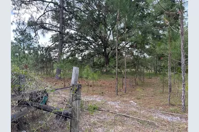 0000 SE 60th Avenue, Morriston, FL 32668 - Photo 12